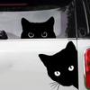 Podglądanie Kota Czarny Kot Naklejki Samochodowe Naklejki na Szyby Samochodowe Naklejki Dekoracyjne Do Zadrapań Akcesoria Samochodowe