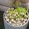 20PCS Resin Halloween Pumpkin Decorations - Reusable Creepy Mini Realistic Pumpkins Creative and Interesting Garden Ornaments