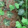 2M Simulation Green Vine Decoration Plastic Ivy Vine Scene Decoration Props Simulation Green Ivy Leaf Vine Decor GreenVine Decor