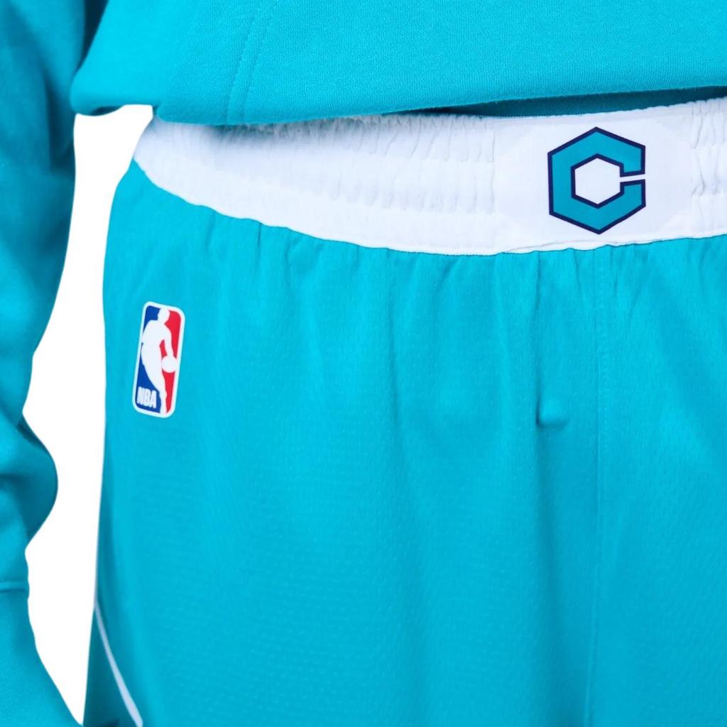 Jordan Bumblebee Team ICON Edition 2020 NBA Basketballshorts Herren Blau Grün CN8083-443