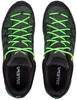 Hiking Shoes Salewa Mountain Trainer Lite GTX (61361) Green Myrtle/ombre Blue