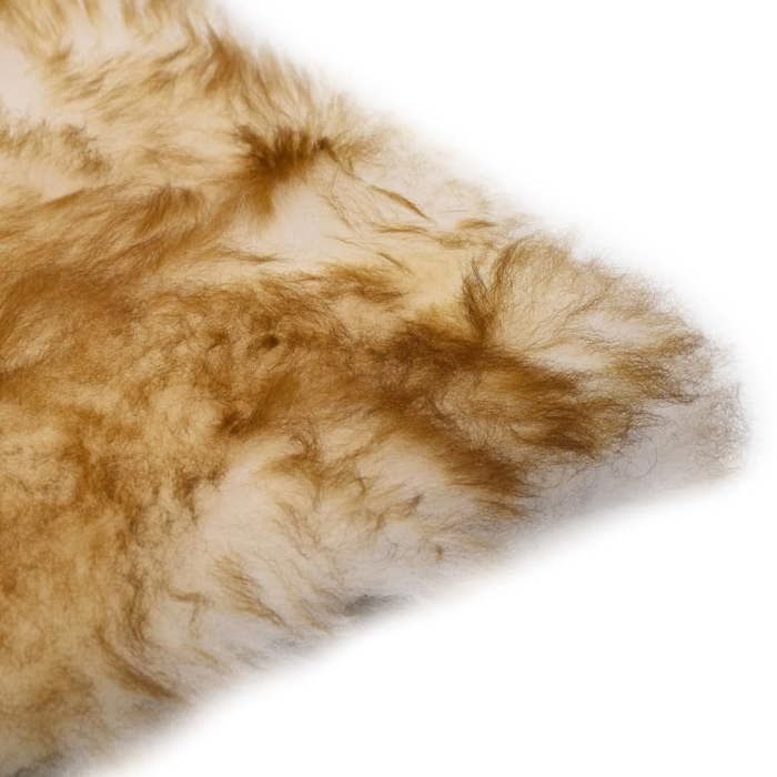 Coussin de chaise - vidaXL - Mouton véritable - 40x40 cm - Marron - Intérieur (x2)
