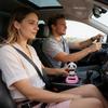 Accessori per abitacolo auto – Giocattoli per auto e decorazioni
