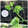 Garden Plants Climbing Net Polyester Net Morning Glory Flower Vine Netting Support Net Grow Net Holder Trellis Netting Multi Use