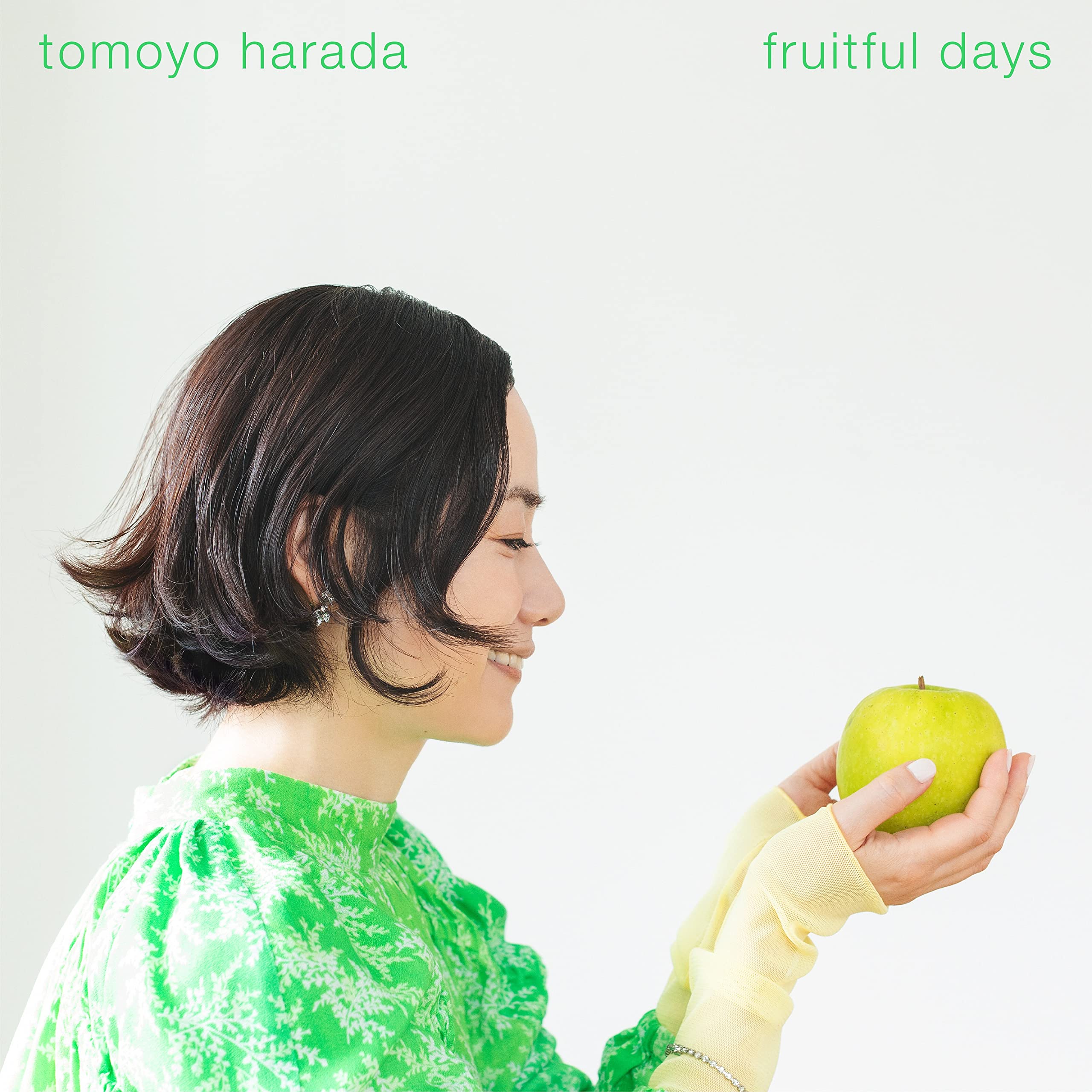 

fruitful days (first edition) [Analog] Tomoyo Harada