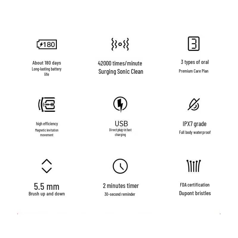 Lebooo C101 Electric Toothbrush