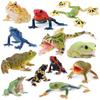 TOYMANY 12-Piece Frog Figure Set, Realistic Frog Model Figurines, Perfect for Birthdays, Christmas, New Years, Halloween, and More, Ages 6 and Up