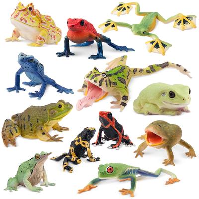 TOYMANY 12-Piece Frog Figure Set, Realistic Frog Model Figurines, Perfect for Birthdays, Christmas, New Years, Halloween, and More, Ages 6 and Up