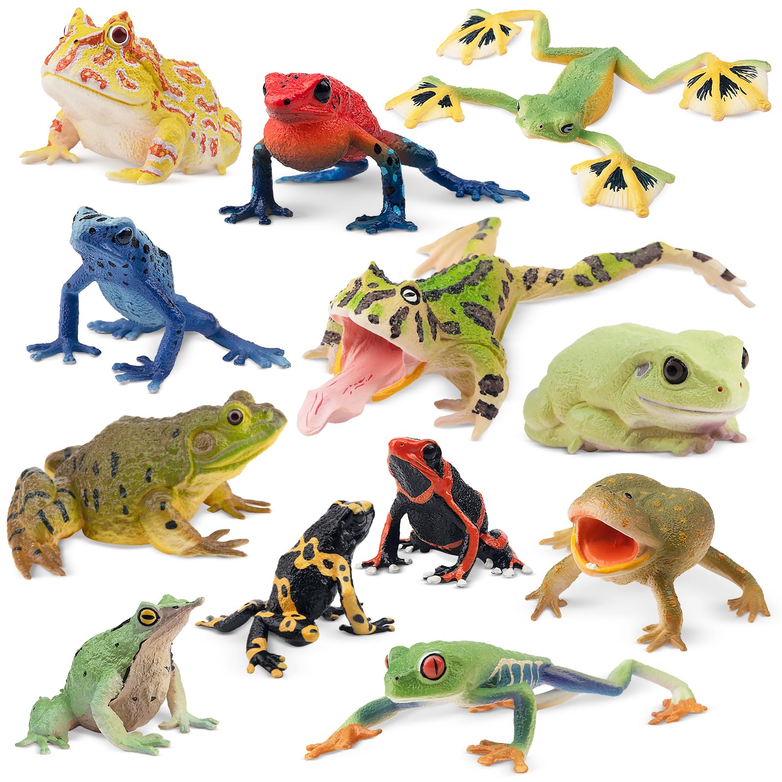 

TOYMANY 12-Piece Frog Figure Set, Realistic Frog Model Figurines, Perfect for Birthdays, Christmas, New Years, Halloween, and More, Ages 6 and Up