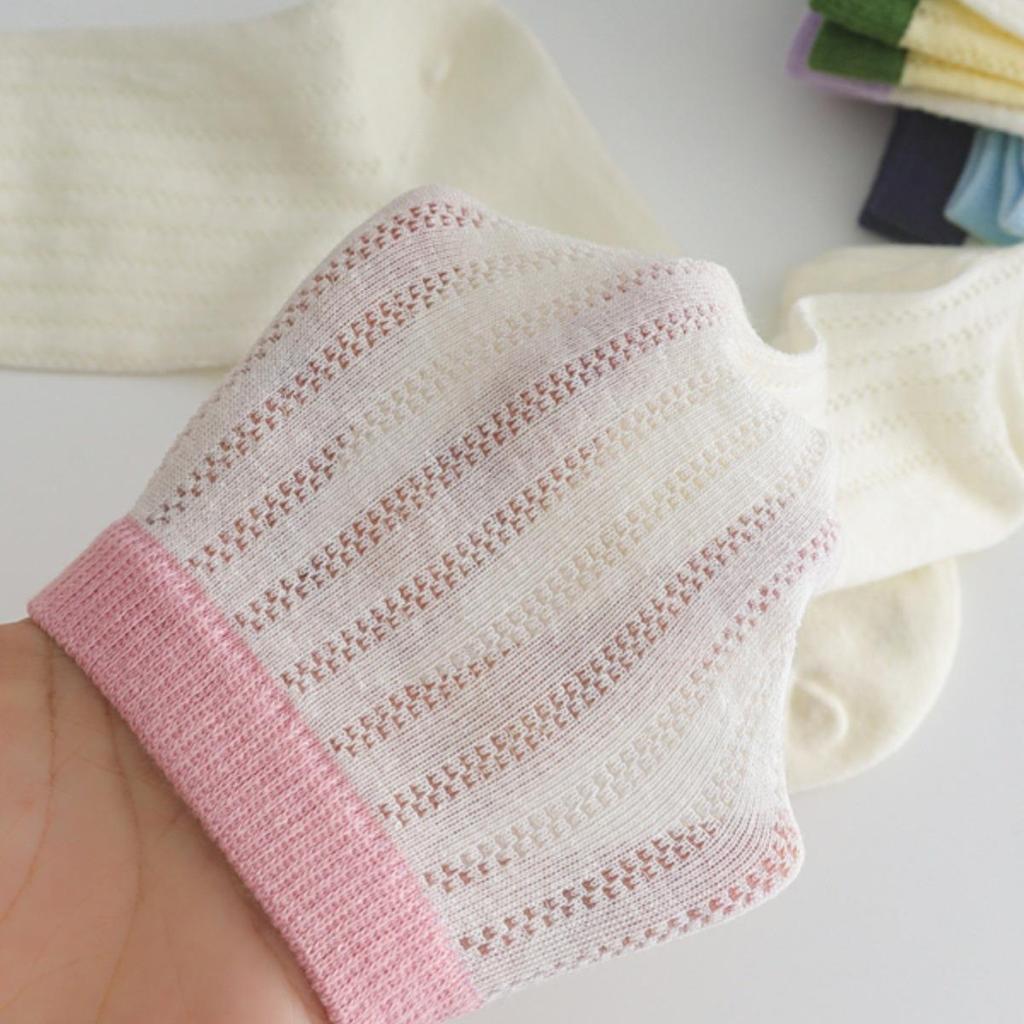 Korean Style Summer Thin Mesh Mid-Tube Cotton Socks In Pastel Colors