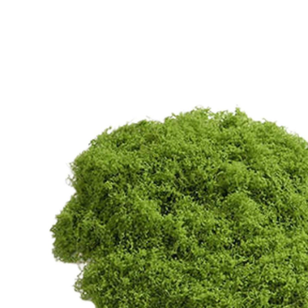 Potted Plant, Crafts, Lightweight Tank Decoration, DIY Artificial Block, Realistic Green Plants for