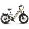 CEAYA A20-Pro Adult Electric Bike, 1000W Motor, 20×4.0 Fat Tire, Full Suspension, Hydraulic Brakes, All-Terrain