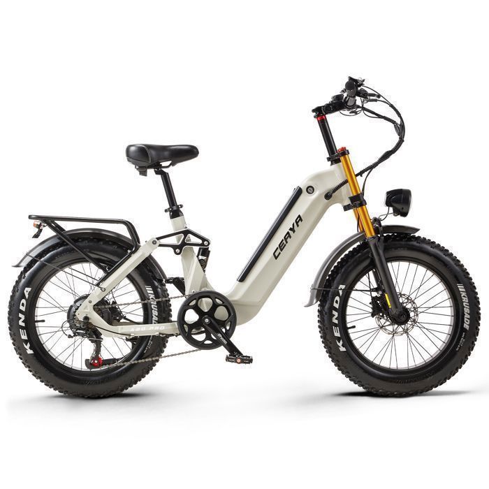 CEAYA A20-Pro Adult Electric Bike, 1000W Motor, 20×4.0 Fat Tire, Full Suspension, Hydraulic Brakes, All-Terrain