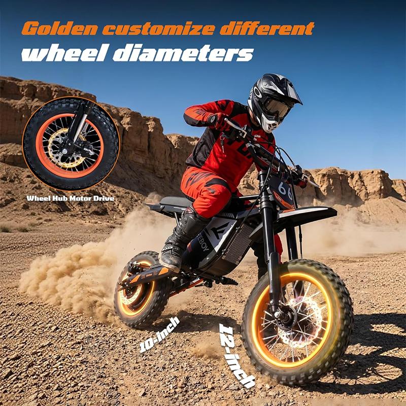 Y66 Off Road Electric Dirt Bike, 1000W Hub Motor 48V30Ah Battery Max 55km/h Hydraulic Brake All Terrain Motorcycle