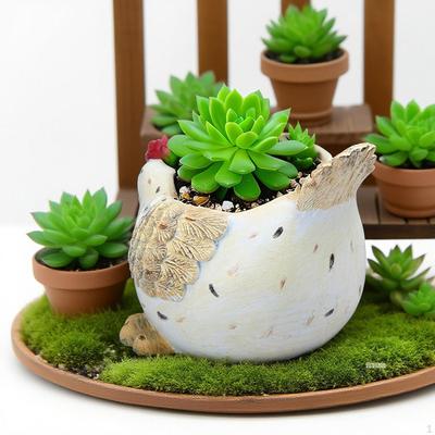 Decorațiuni pentru casă – Ghivece de flori decorative