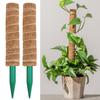 Fashion Detachable Moss Pole To Grow Upwards Gardening Tools Plant Climbing Pole 32/42/52cm Plants Creepers Indoor