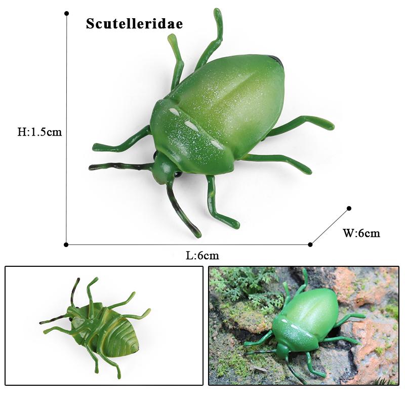 Oenux New Insect Animals Model Butterfly Bee Dragonfly Mantis Ant Snail Action Figures Jouet Collection Decor Kids Education Toy