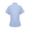 Premier Womens/Ladies Microcheck Short Sleeve Cotton Shirt