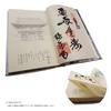Shikoku Pilgrimage 88 Temples Stamp Book with Vinyl Cover, Hotokudo Original Bookmark, Line Drawing, Large Size, Red