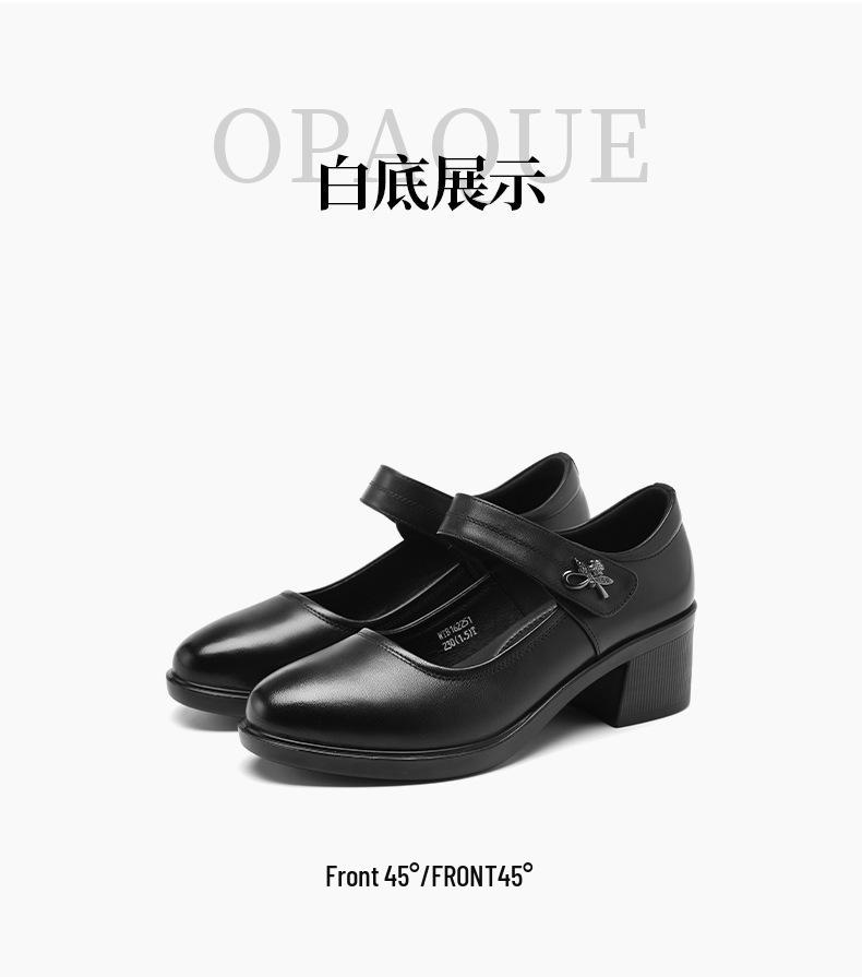 Red Dragonfly Women's Mary Jane Summer High Heels: Thick Sole Leather Casual Shoes