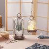 Hanging Candle Holder with Glass Dome and Decorative Chain, for Succulents and Houseplants (Brown, 13x30cm)