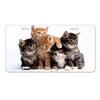 Sublimation Printed US Standard License Plate Metal Sign, 12x6 Inches, Hot-Selling Design