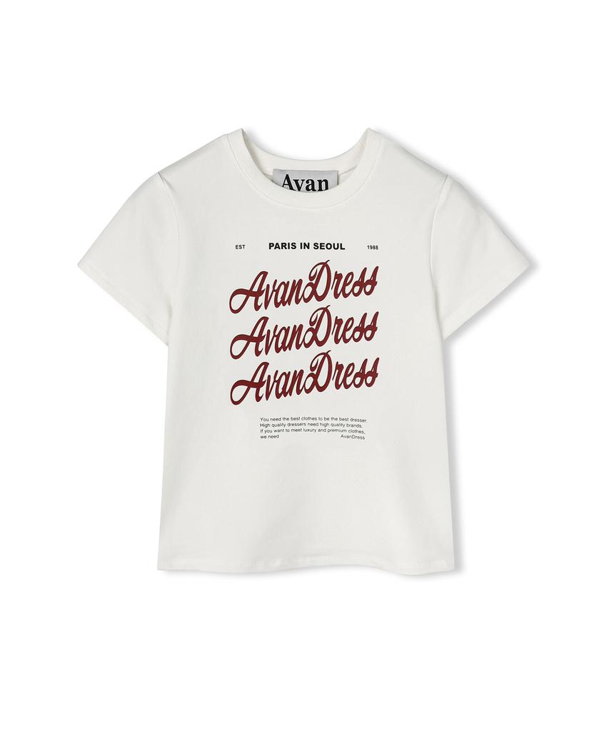 AVANDRESS Bagel Crop T-Shirt - 3Col