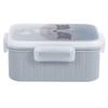 LUNCH BOX for school Raccoon plastic LUNCH BOX