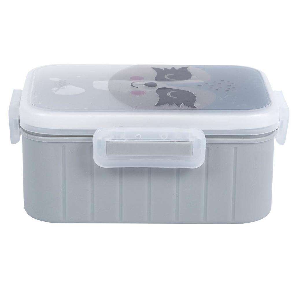 LUNCH BOX for school Raccoon plastic LUNCH BOX