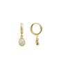 Luxenter Hade Earrings 18k Gold Plated