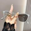 Trendy Cat-Eye Color Changing Near Sight Eyewear Gents Ladies Unisex Light Adaptive Myopia Glasses Outside Traveling Minus Glasses
