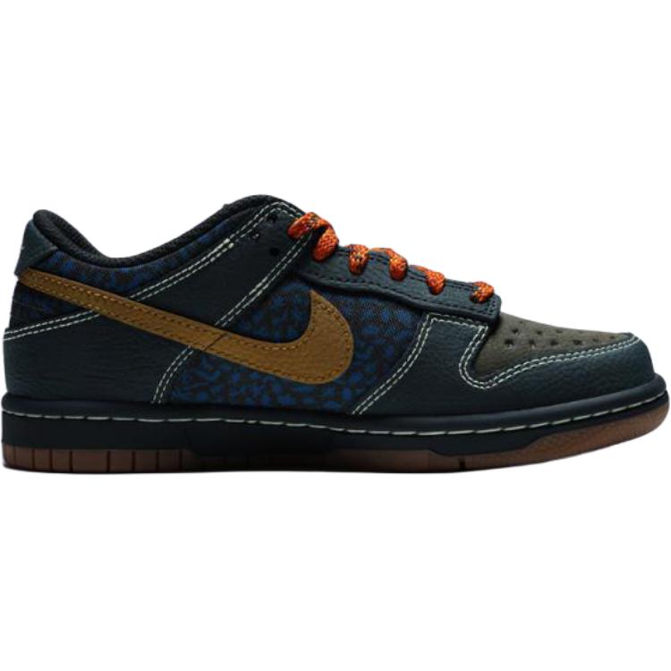 New Nike Dunk Low top Kids Lifestyle Shoes Blue Unisex IH4042-364