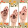 12Pcs Stainless Steel Flower & Leaf Cookie Cutter Set Cake Biscuit Chocolate Baking Mold Cake Decoration Tools Donut Cutter Kit