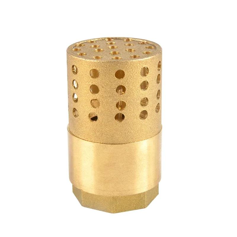 Valvola di fondo con filtro a cestello e filettatura femmina BSP da 3/4" 1" 1-1/4" 1-1/2" in ottone Valvola a pedale per pompa dell'acqua