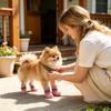 Dog Shoes - Pet Sandals for Summer Outdoor Walks