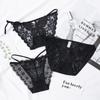 Consort Vine Black Series Sexy Mesh Lace Women's Panties with Transparent Cotton Crotch