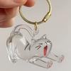 Keychain Pendant Transparent Cat Design Pet Hair Storage Box Key Chain Pet Hair Pendant Keyring Hair Storage Bottle Keychain
