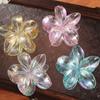 Plastic Transparent Hair Clip Grab Clip Large Hair Claw Cute Flower Hair Clip  Streetwear