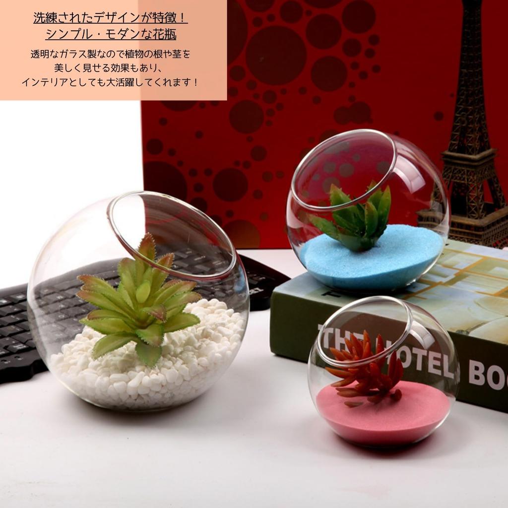 [S.T.S.G] Glass Terrarium Planter Hydroponics Pot, Round, Stylish Interior Display, Cute Plants (Set of 3, Extra Small, Small, and Medium)