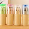 12-Color Natural Wood Colored Pencils In Kraft Tube for Kids' Art & School, Custom Logo Available