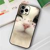 Cute Cat Phone Case For IPhone 17 Air 16 15 14 13 Pro Max 11 12 Black Silicone Cover