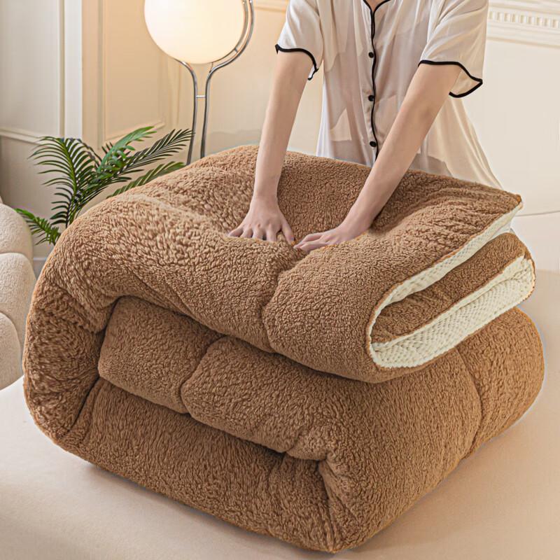 Thickened Lamb Fleece Soy Fiber Quilt