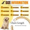 Dog Chain Collar Gold Durable Light Metal Dog Gold Cuban Link Cute Fashion Jewelry Accessories for Dogs (19MM)(12)
