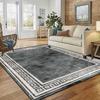 Nordic Luxury Washable Carpets Large Area Rugs for Living Room Bedroom Modern Home Decor Non-Slip Floor Mat