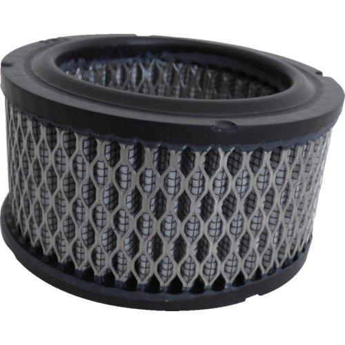 

Anest Iwata Intake Filter, 111mm x 61mm, 91353660