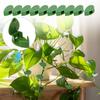 Plant Clips, Pothos Vine Fixing Clips, Plant Growth Clips, Garden Clips, Plant Climbing Wall Fixing Clips