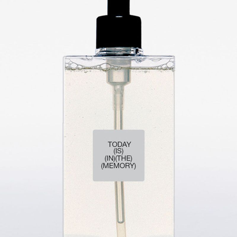 

TODAY(IS) In the Memory Hand Wash 300ml In the Memory