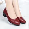 Mid Heel Women's Casual Pumps Comfort Thick Heels Round Toe Mothers Shoes Soft Sole Non-slip Office Work Shoes  Breathable