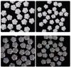 30Pcs/Bag of Camellia Manicure Jewelry Resin Drill Nail Decoration Symphony Three-Dimensional Flower Accessories