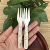 Natural Shell Spoon Mother of Pearl Fork Ice Cream Dessert Caviar Seasoning Condiment Stirring Spoons Teaspoon Kitchen Tools4